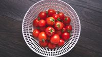 How to Freeze Cherry Tomatoes in 3 Simple Steps - 2024 - MasterClass