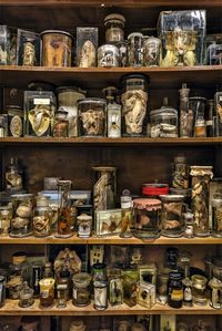 Cabinet of Curiosities - Viktor Wynd Museum