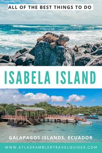 Discover how to explore Isabela Island on a budget with our comprehensive travel guide to the Galapagos Islands!  From hiking volcanic landscapes to encountering unique wildlife, there’s so much to see without breaking the bank. Dive into turquoise waters, relax on pristine beaches, and experience the magic of this UNESCO World Heritage site affordably.  Ready to embark on an eco-adventure? Let's make your Galapagos dreams a reality!  Isabela Galapagos | Galapagos Islands Isabela | Galapagos Isla Isabela | Galapagos Islands Travel | Galapagos Islands Animals | Galapagos Islands Itinerary | Galapagos Islands Travel Guide | Galapagos Islands Ecuador  #IsabelaIsland #GalapagosBudgetTravel #EcoAdventure #WildlifeEncounters #TravelGuide