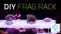 HOW TO: DIY Coral Frag Rack On The Cheap!