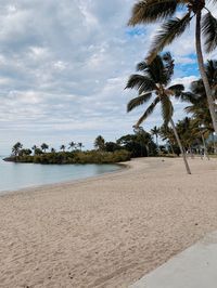 Airlie beach