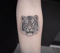 Tiger Tattoo