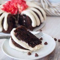 Chocolate Chocolate Chip Nothing Bundt Cake Recipe