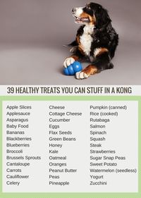 Kong stuffing is such an easy way to keep your dog busy and mentally stimulated. Here's 39 healthy snacks & treats you can stuff in a Kong to keep your dog entertained. #dogs #puppies #lifehacks #dogstuff #diydog #dogtreats #dogcare