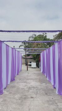 Twinkle Light Tunnel for an entrance 💜 . #tent #draping #twinklelights #quince #white #lavender