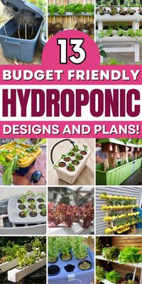 Grow fresh herbs at home with these DIY hydroponics systems!