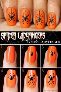 Spider mani