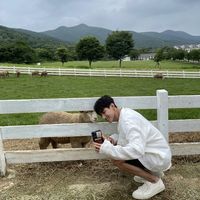 도겸 on Instagram: “좋은 하루 보내세양🐑”