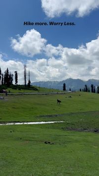 #Kashmir #Pahalgam #Sonmarg #Gulmarg #Kashmirbeauty #KashmirValley kashmir india beauty aesthetic outfit ideas videos travel tour photography men shirt embroidery suits trip pardesi pahalgam jammu and kashmir kashmir diaries kashmir valley #kashmir #kashmirindia #Kashmirbeauty #kashmiraesthetic #kashmiroutfitideas #kashmirvideos #kashmirtravel #kashmirtour #kashmirphotography #men #shirt #kashmirembroiderysuits #kashmirtrip #pardesi #Pahalgam #jammuandkashmir #kashmirdiaries #kashmir