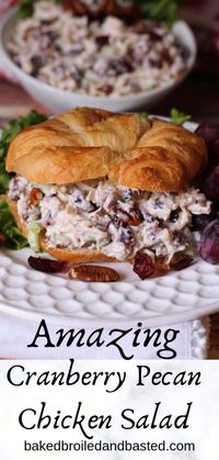 Cranberry Pecan Chicken Salad | Baked Broiled and Basted