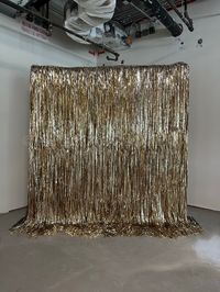 Get ready to turn heads with our gold fringe backdrop rental. This stunning and elegant statement piece is a must-have for any occasion. 1x - 8' fringe backdrop Installation Uninstall and pick up after event is over. ** there may be an additional charge depending on distance and uninstall time (after business hours) Delivering in Tampa,Florida and surroundings.