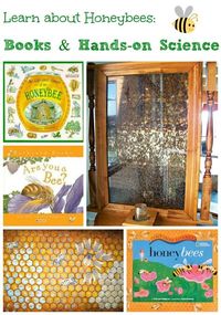 Learn how to protect the honey bees with these great books & citizen scientist projects!