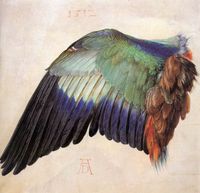 Albrecht Durer, Wing of a Roller, 1512