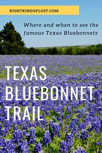 Ennis, Texas, is home to the Texas Bluebonnet Trail, a driving trail that showcases the best of the flowers as well as some other fun and beautiful things.