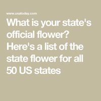 What is your state's official flower? Here's a list of the state flower for all 50 US states