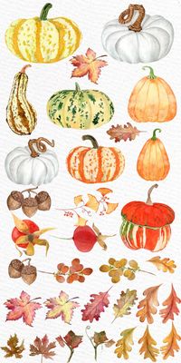 Watercolor pumpkin clipart: AUTUMN CLIPART Fall | Etsy