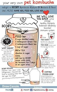 Kombucha it is amazing, we love it : Kombucha tea (KT): Recipe – How to – Ideas – Probiotic – SCOBY