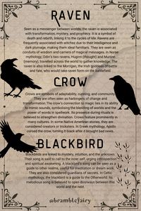 Raven, Crow and Blackbird