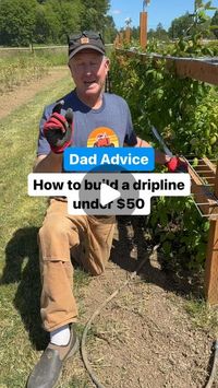 Dad Advice From Bo on Instagram: "Cheap and easy solution to those dang soaker hoses that cost a lot and are very sensitive to pressure. A couple things….

A handful of food you grow prefers to be watered at the root instead of on top, especially berries. 

I will definitely spray paint these and you see at the beginning I built them for the ground and the trellises, I just showed the trellis

Half the battle of being a Garden Husband is coming up with affordable solutions after a problem comes up so the answer is yes, it would have been easier to build these BEFORE the berries grew 🤠

How to build your own dripline. Love, Dad"