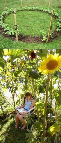 Grow a sunflower house for the kids to play in. | 32 Cheap And Easy Backyard Ideas That Are Borderline Genius