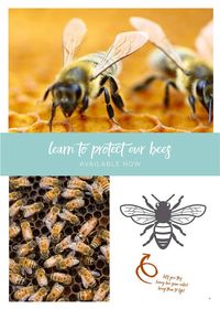 Find out how to protect our bees, save them and become a global guardian and true protectors of the environment.