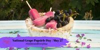 NATIONAL GRAPE POPSICLE DAY – May 27