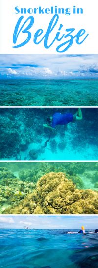 Snorkeling in Caye Caulker Natural Reserve | caye caulker | snorkeling in belize | diving in the blue hole belize | snorkeling in caye caulker belize | where to snorkel in belize | shark alley belize | swim with sting rays in belize | swim with sharks in belize | nurse sharks belize |