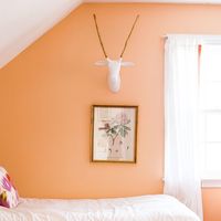 Avid Apricot SW 6639 - Orange Paint Color - Sherwin-Williams