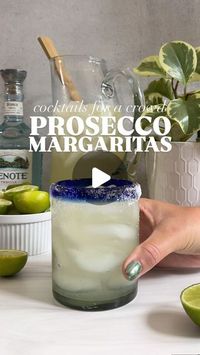 Katie Kelly on Instagram: "PROSECCO MARGARITAS 🍾 🍋‍🟩 

This batch makes 8 margaritas!

INGREDIENTS
16 oz tequila
8 oz lime juice
4 oz triple sec
1 bottle of Prosecco 

SERVING DIRECTIONS
If you plan on serving all 8 of these right away, pour the entire bottle of Prosecco into the pitcher.

If you want to serve later or throughout your night/party/etc, add in the Prosecco as you serve it. Make your margarita mix, then pour 3.5 oz of your margarita mix into a glass filled with ice. Top with fresh Prosecco. 

#margaritaville #tequilatequila #proseccotime #cocktailrecipes #cocktailgram #easycocktailrecipes #homebartender"