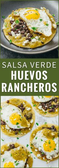 Huevos rancheros are a delicious and healthy Mexican breakfast with fried eggs, black beans, salsa verde, and cheese over corn tortillas. recipe, authentic, easy, sauce, breakfast, mexicanos, skillet, receta, tacos, vegetarian, tostadas, bowl, pioneer woman, paleo, traditional, low carb, baked, mexican eggs, skinnytaste, new mexico, for a crowd, cast iron, green chili, how to make, jamie oliver, best, sandwich, simple, tortilla, brunch, quick, omelet, dinner, rice, for one...