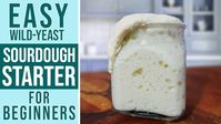 SOURDOUGH STARTER RECIPE + Maintenance Guide // Perfect for Beginners (step by step)