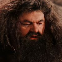 ☁️: rubeus hagrid || icon || harry potter films || robbie coltrane