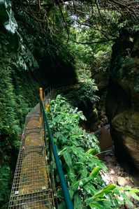 Hiking On São Miguel, Azores: 7 Trails I Utterly Loved [Tips & Best Trails] • Indie Traveller