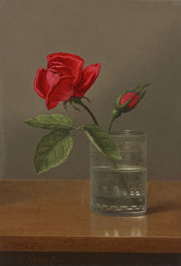 Red Rose and Bud in a Tumbler on a Shiny Table