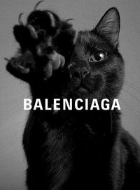 #balenciaga #blackcat #cat #aesthetic #brand #feed