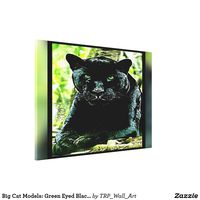 Big Cat Models: Green Eyed Black Panther Canvas Print