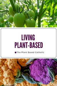 Today I want to share the definition of a plant-based diet and address some of the main concerns you may have about eating this way.