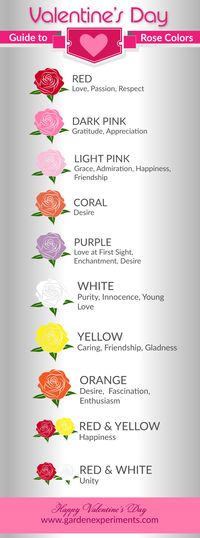 Guide to Rose Colors & Their Meanings #roses #valentines