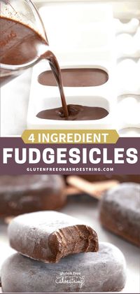 Healthy Fudgesicles Recipe | How To Make It With Just 4 Ingredients