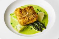 Breaded hake, asparagus and wild garlic sauce