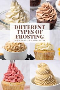 6 different types of frosting.