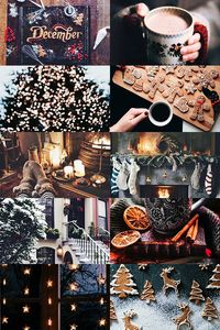 OUR BEAUTIFUL WORLD - call-me-winter-soldier:   December aesthetic ...