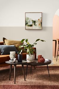 TDC: Autumnal hues from Dulux. Styling Bree Leech, photo Mike Baker