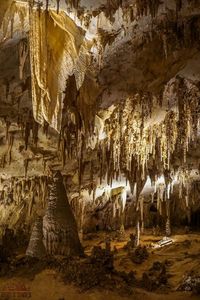 Carlsbad Caverns National Park is one of the most beautiful places in New Mexico, and should be on everybody's bucket lists! Planning an itinerary for your family vacation can be a challenge though, that is why I'm sharing this list of 5 things to do in Carlsbad Caverns. Whether you are on a quick road trip, or are camping near the caves, this list has the tips you need to explore the entrance, see the bats, and have an epic underground adventure! #carlsbadcavernsnationalpark#nationalparks