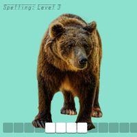 "Bear" online flashcard for #ESL or elementary school #spelling | #homeschool #literacy