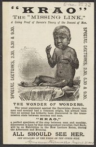 advertisement for 'krao' the 'missing link', a living proof of darwin's theory of the descent of man (london, 1887) | british library, london