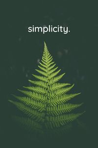 Sometimes less is more. #minimalism #fern #nature