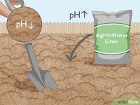 How to Prepare Soil for Planting Herbs: 12 Steps (with Pictures)