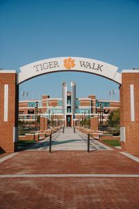 Look at our new Tiger Walk 😍