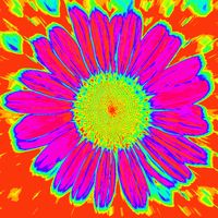 ☮Psychedelic•GiF☮